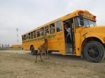 Wycieczka szkolna - Bałtów - Jurapark (Polska) 3