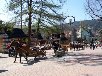 Wycieczka szkolna - Tatry - Zakopane (Polska) 5