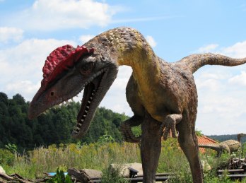 Wycieczka szkolna - Bałtów - Jurapark (Polska) 2